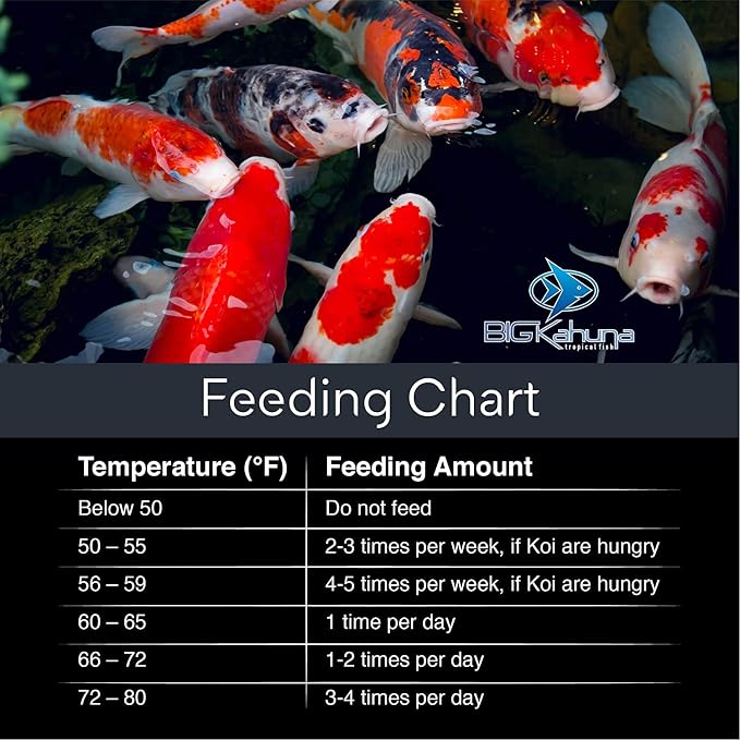 BIG Kahuna Koi Fish Food for Ponds 1lb - Koi Food for Pond Fish Food Pellets – 3/16-1/4 Floating Pond Pellet