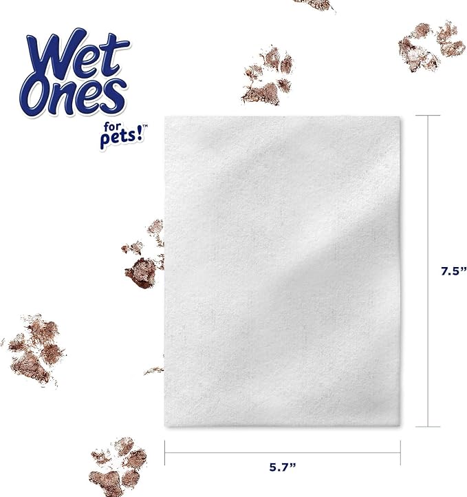 Wet Ones for Pets Extra Gentle Dog Wipes with Witch Hazel - Fragrance-Free, Hypoallergenic Pet Grooming Wipes for Snout, Eye, and Ear Areas, Sensitive Skin, 30 Count - 2 Pack