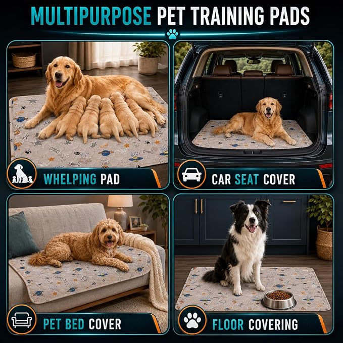 Washable Pee Pads for Dogs