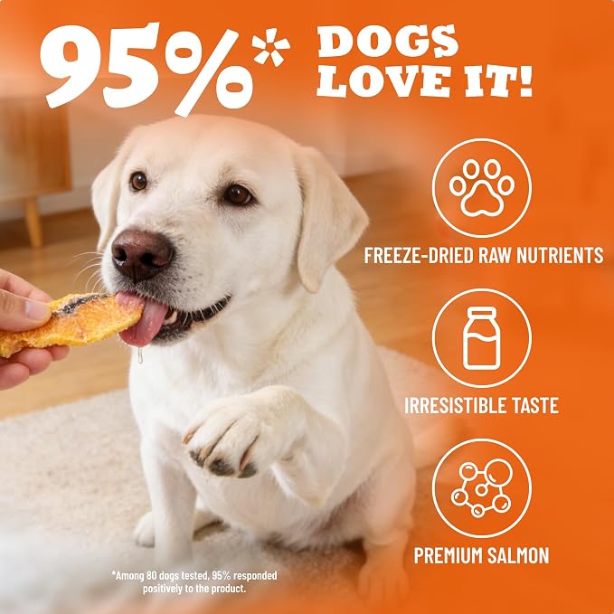 Freeze Dried Salmon Treats for Dogs, Single Ingredient Dog Treat with Salmon Wild Caught & Omega-3, High Protein & Grain Free Puppy Training Treats & Food Toppers 2.5oz
