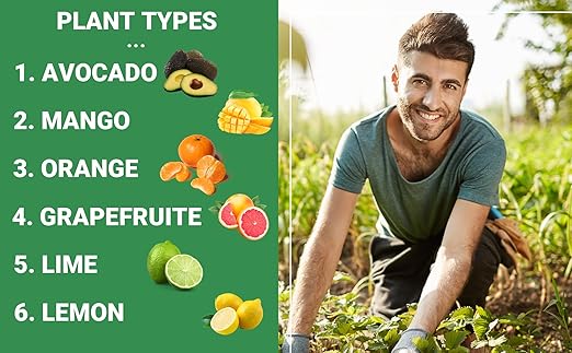 Gardenwise 6-4-6 Avocado, Mango Citrus Tree Professional Fertilizer, Plant Food Outdoor/Indoor Gardening; Quick-Release Nitrogen Fertilizer; Orange, Lime, Avocado and Lemon Tree Fertilizer (1/2 QUART)