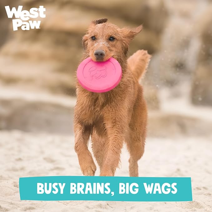 WEST PAW Zogoflex Zisc Dog Flying Disc, High Flying Aerodynamic Disc for Dogs Puppy – Lightweight, Floatable Disc for Fetch, Tug of War, Catch, Play – Doubles as Food/Water Bowl, Large 8.5", Teal