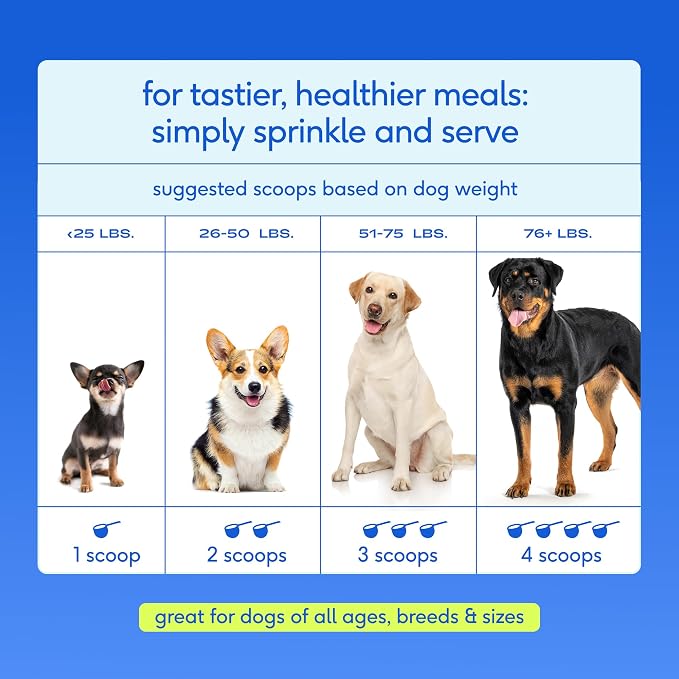 Native Pet Hip and Joint Supplement Dogs - Powder with UC-II Collagen and HMB - Senior and Large Breed Dog Joint Support - Made in USA - 120 Scoops