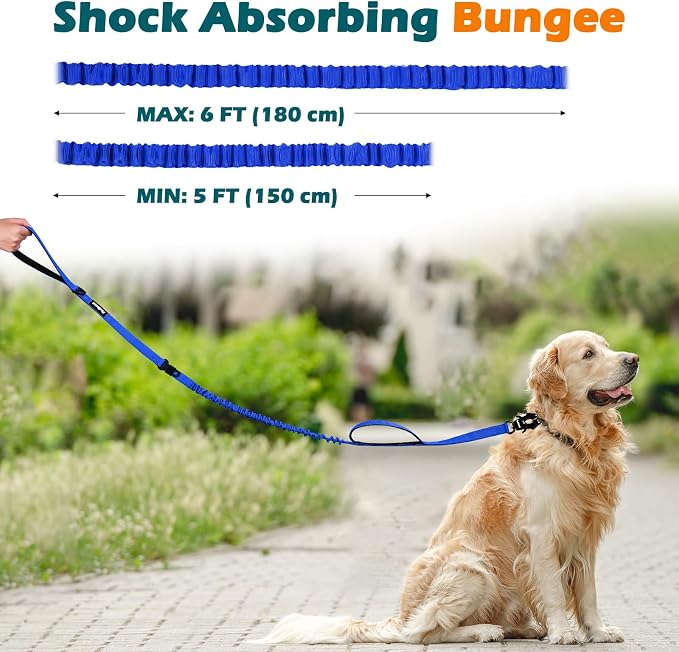 PetBonus Heavy Duty Tactical Dog Leash and 2-Pack Large Silicone Collapsible Dog Bowls