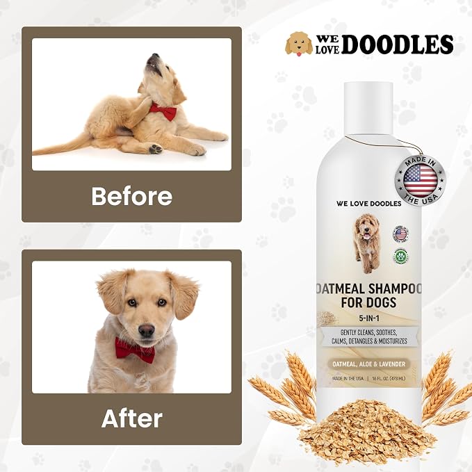 We Love Doodles 5-in-1 Premium Oatmeal Shampoo & Dog Grooming Bath Brush Bundle - Gentle for Itchy & Sensitive Skin, Provides Itch Relief, Hypoallergenic & Soothing for Dry Skin, Pet Rubber Brush