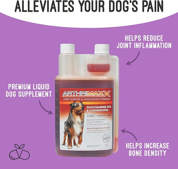 ArthriMAXX Dog Supplement for Joint Inflammation & Arthritis, Naturally Potent Dog Joint Care, Antioxidant Formula with MSM, Chondroitin, Vitamin C, & Glucosamine For Dogs, 32 fl oz