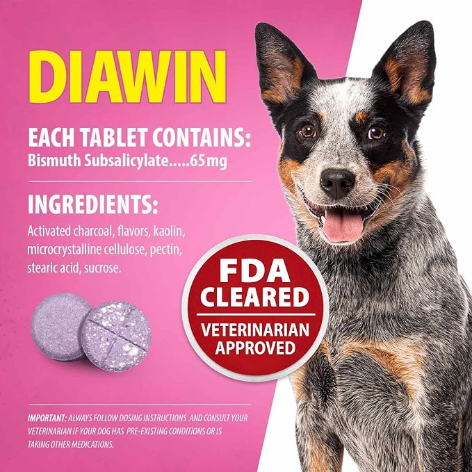 Jeffers Pet Diawin Dog Digestive Support Tablets, Veterinary Formulated, Bismuth Tummy Relief for Diarrhea for Dogs, Stool Firming, Gut Health, Made in USA - 1000 Tablets