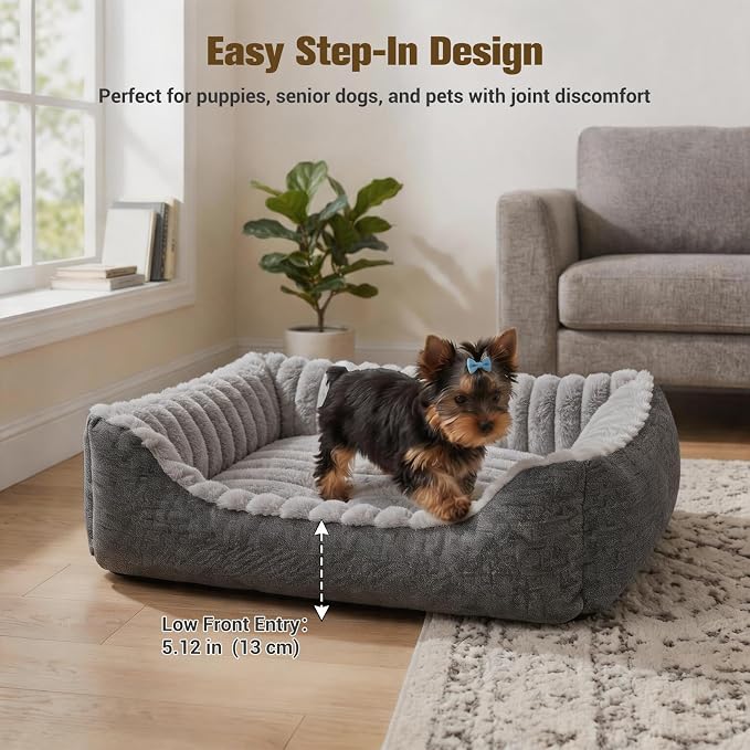Avont Supportive Dog Bed for Medium Dogs, Plush Foam Fill, Grey | Removable Machine Washable Cover, Low 5.12" Entry for Pups & Seniors, 7:3 Foam-PP, Non-slip Bottom, Hidden Chew-proof Zippers