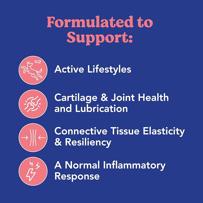 ANGELS' EYES Hip + Joint Mobility Collar for Dogs with Glucosamine, Chondroitin, MSM, and More | Convenient & Easy | 30 Days of Continuous Support | Water Resistant (Small)
