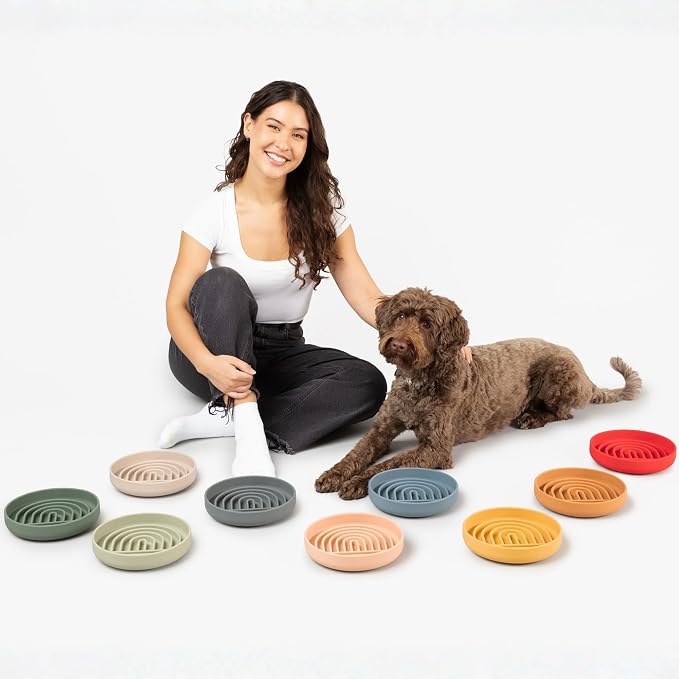 Should We Go? Slow Feeder Dog Bowls - Medium Size Silicone Slow Eating Dog Bowl for Puppies & Dogs with Suction Cup -Dishwasher-Safe, Lick Mat Design, Reduces Gulping,for All Breeds,7.5”x1.5”- Spruce