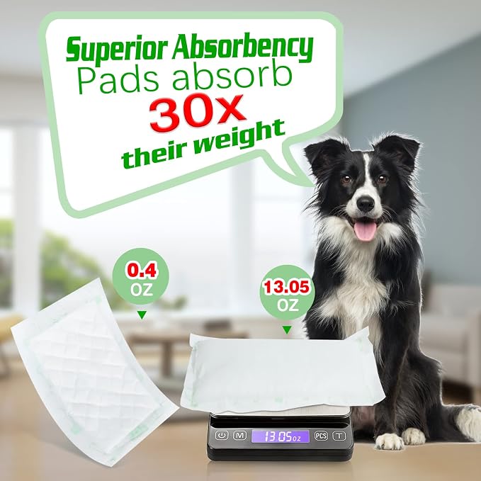 Dog Diaper Liners 150ct Super Soft and Absorbent Dog Diaper Booster Pads for Male Dog Belly Bands or Female Dog Diapers (Long, 150pcs)