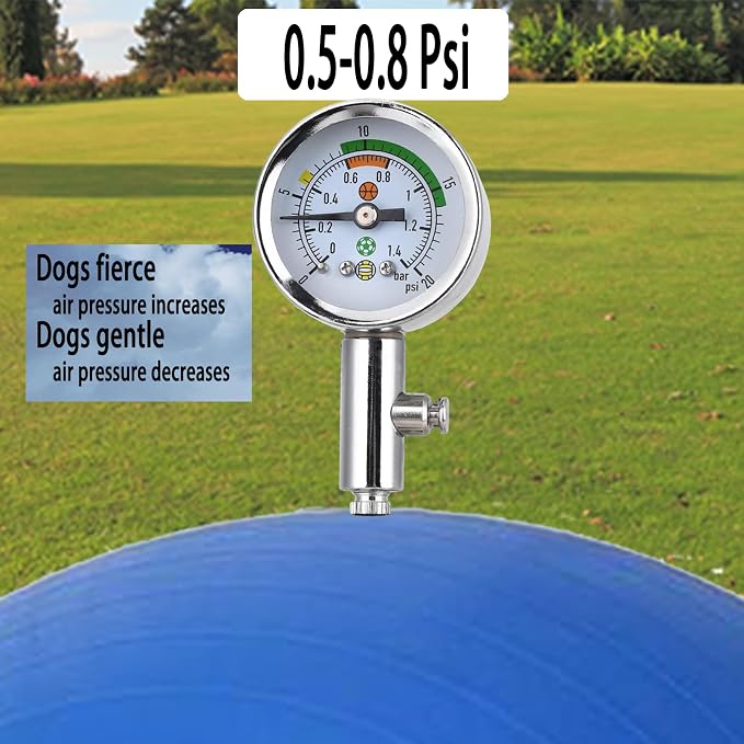 mwater Dogs Herding Ball Large 25 Inch