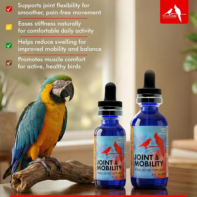Morning Bird Joint & Mobility 1 fl oz – Herbal Liquid Supplement for Birds – Supports Joint Health, Muscle Comfort & Mobility – Ideal for Aging or Recovering Birds