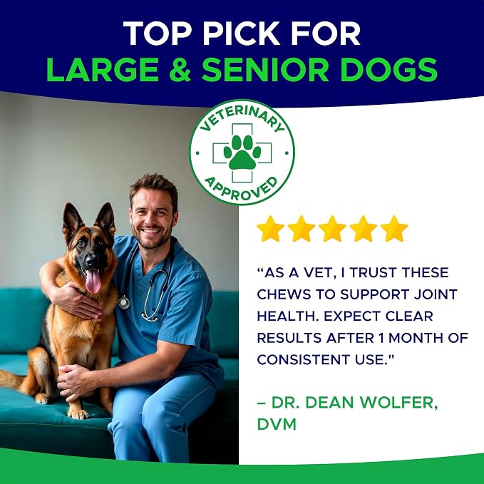 Dog Joint Supplement Large Breed - Glucosamine & Chondroitin Treats for Dogs - Supplement w/Omega-3, MSM - Made in USA - Joint Pain Relief - 240 Mobility Chews