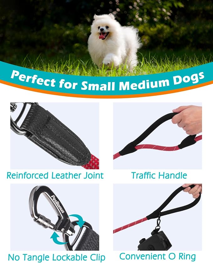 PetBonus Double Handle Rope Dog Leash and 2-Pack Large Silicone Collapsible Dog Bowls