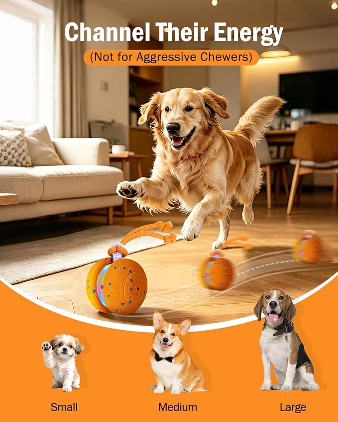 osou Interactive Dog Toy, Random Path Rolling Dog Ball with Rope, 2 Speed Modes, Motion-Activated, Pet-Safe ETPU Shell, Automatic Moving Toy for Small Medium Large Dogs and Most Dog Personalities
