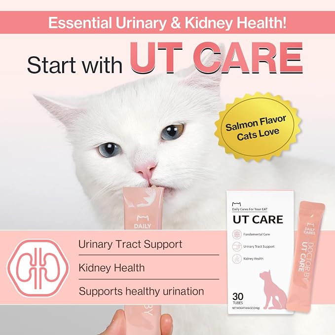 Doctor By UT Care Cat UTI Kidney Support Urinary Supplement Cranberry Treatment for Cats Renal Health with Pacran, Quercetin, Taurine lickable Formula Individually Packaged (1 Pack)
