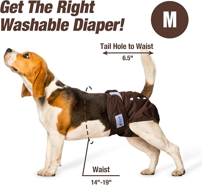 Pet Soft Washable Female Diapers (3 Pack) Female Dog Diapers, Comfort Reusable Doggy Diapers for Girl Dog in Period Heat (Deep Set, M)