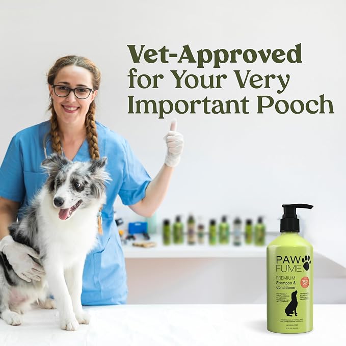 PAWFUME Deshedding Dog Shampoo and Conditioner, Show Dog, 4-Pack – Nourish & Detangle for Silky Soft Coat – Probiotic, Deep-Cleaning, pH-Balanced Formula – Salon-Quality Shampoo for Dogs