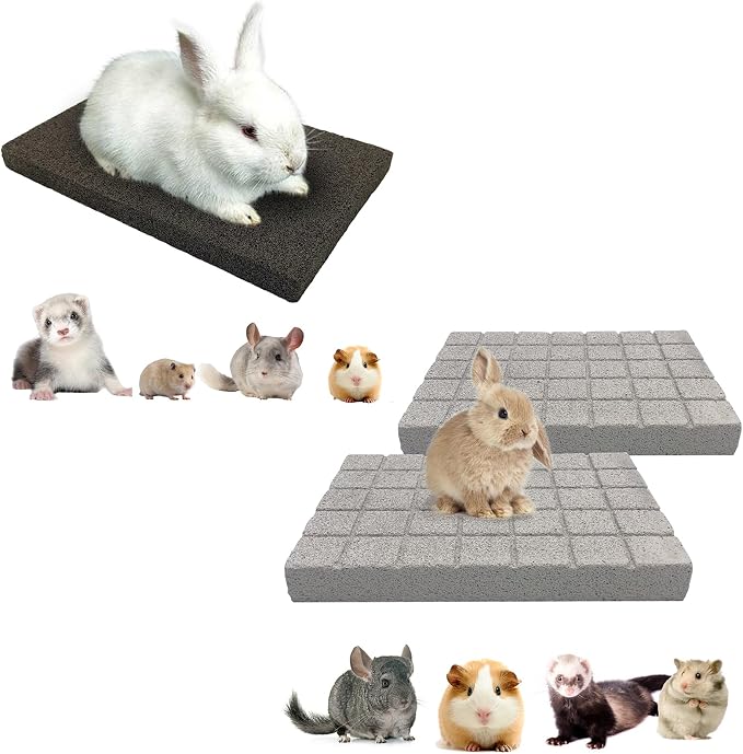 BNOSDM Rabbit Grinding Claw Pads 2 Pack Bunny Scratch Foot Pads Natural Hamster Lava Stone for Teeth Grinding and 2 Pack Scratching Pad Chew Toy for Small Animals
