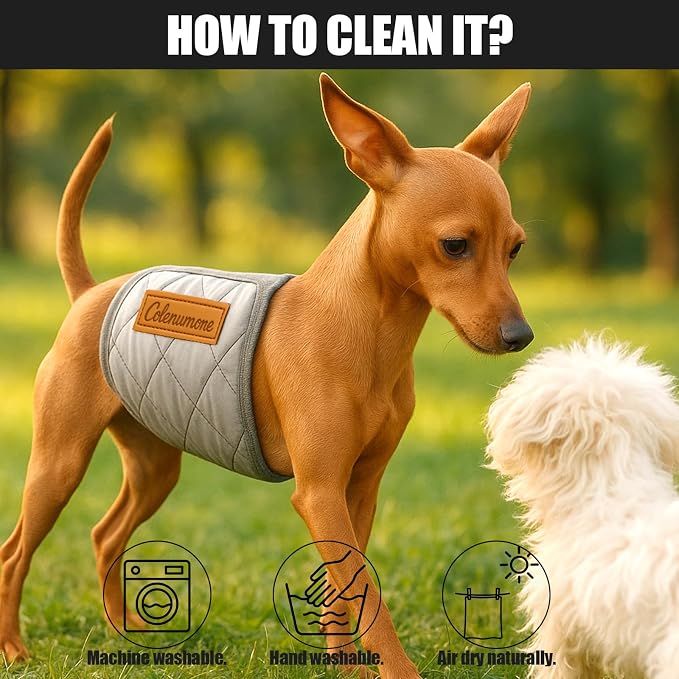 Washable Reusable Dog Diaper, Belly Bands for Male Dogs, Quilted Ultra-Absorbent Leak-Proof Wraps for Training & Incontinence(Red-M)