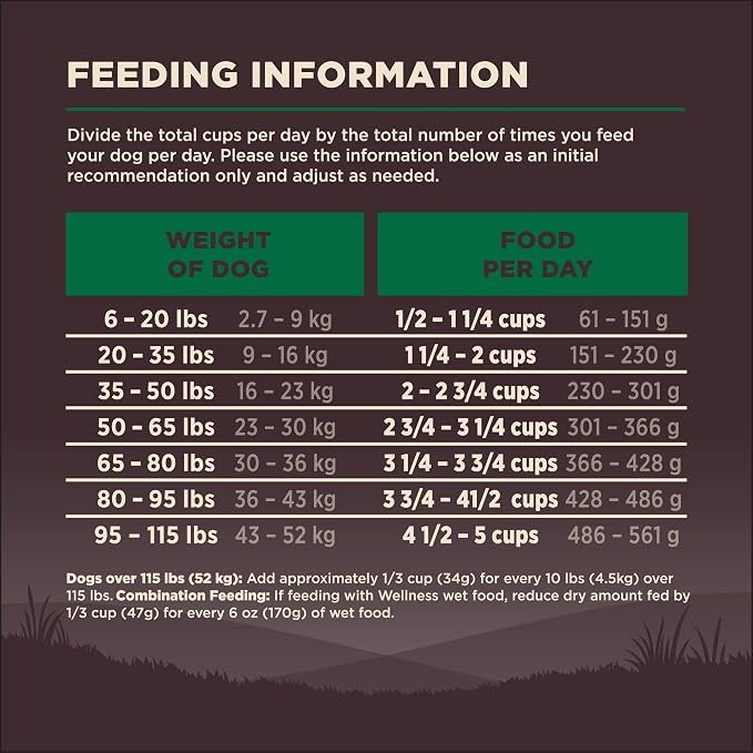 Wellness CORE Adult Dry Dog Food, Grain Free Kibble, Natural, High Protein, Lamb Recipe, 4 lb Bag