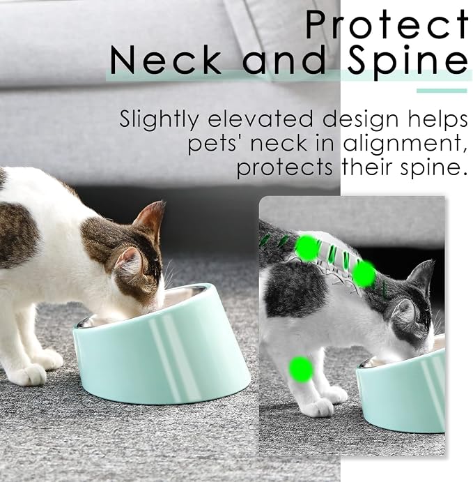 SuperDesign Mess Free 15° Slanted Bowl for Dogs and Cats, Tilted Angle Bulldog Bowl Dog Feeder, Non-Skid & Non-Spill, Easier to Reach Food M/1 Cup Teal