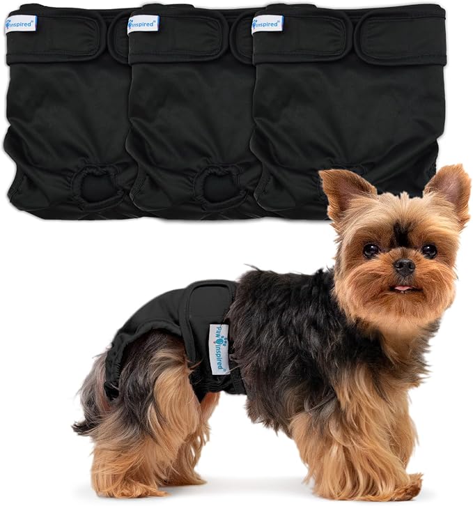 Paw Inspired Washable Dog Diapers (3 Pack) | Reusable Cloth Doggy Diapers for Female Small, Medium, Large Size Dogs (Black with Black Lining, Size XS)