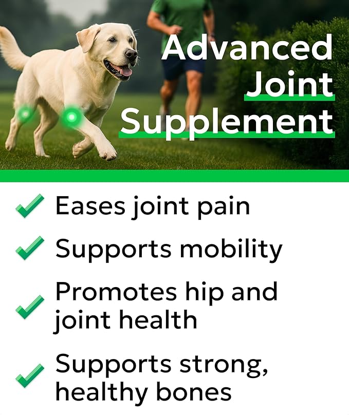 Glucosamine Chondroitin Dog Hip & Joint Supplement - Joint Pain Relief - Hip & Joint Chews for Dogs - Joint Support Large Breed - Senior Doggie Vitamin Pills Joint Health - (240 Treats - Chicken)