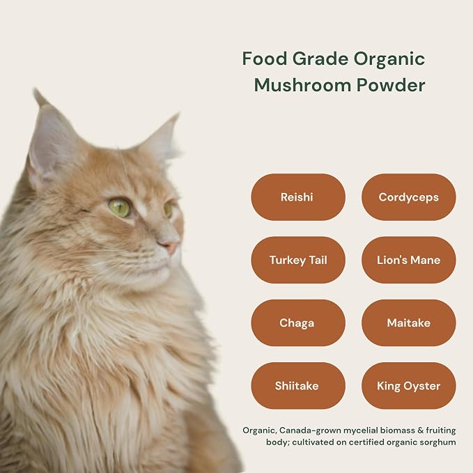Animal Biome 8-in-1 Mushroom Supplement for Dogs & Cats, 60g (105 Scoops) – Turkey Tail Mushroom, Lion’s Mane Blend – Organic Mushroom Powder for Cat & Dog Immune & Wellness Support, Daily Food Topper