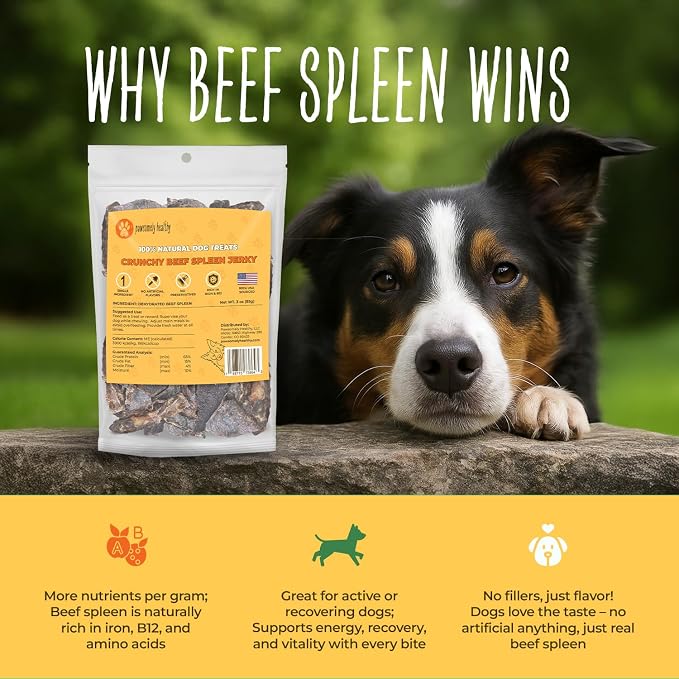 Pawsomely Healthy Beef Spleen Dog Treats – 100% Single Ingredient Air-Dried Jerky – No Fillers or Additives, Grain-Free – Rich in Iron & B12 – Made in USA, 3 oz