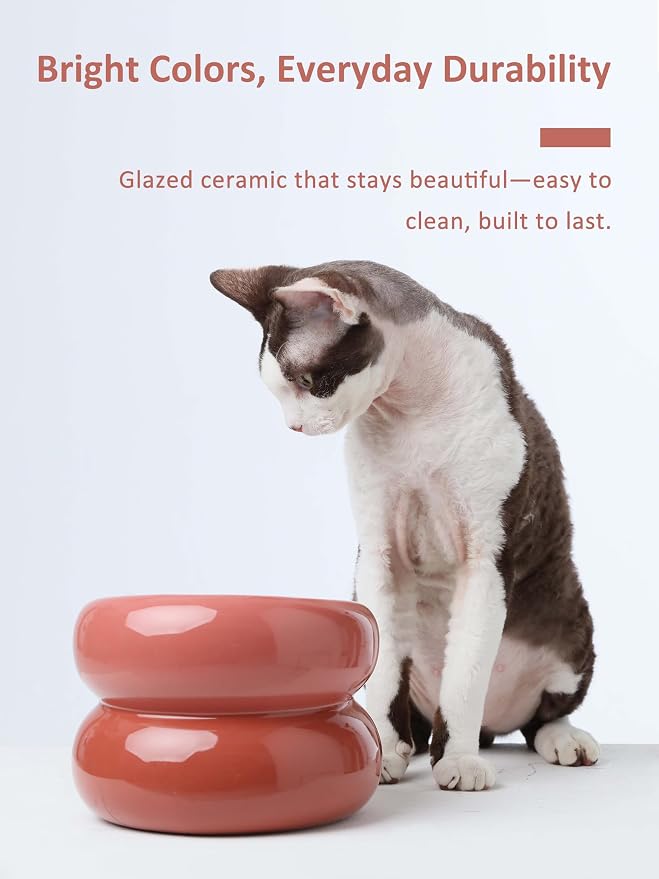 Elevated Cat Water Bowls Raised Small Ceramic Dog Bowl,Non-Slip Tilted Cat Food Bowl Whisker Friendly-Pink