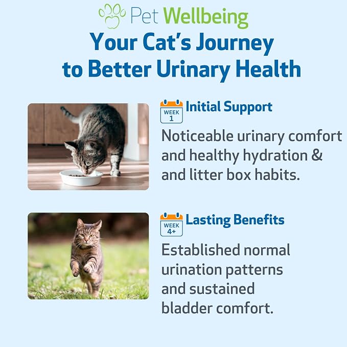 Pet Wellbeing Urinary Gold for Cats - Vet-Formulated Multi-Herb Urinary Tract Support - Feline Bladder Health & Urinary System Wellness - Holistic Cat Supplement - 4 fl oz (118 ml)