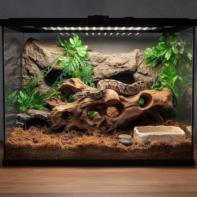 emours Porous Natural Driftwood for Aquarium, Aquascaping Driftwood with Holes, Hand-Selected Tunnels & Hideouts, Aquascaping Hardscape, Terrarium Reptile Décor, No Paint or Resin (16-20" (40-50 cm))