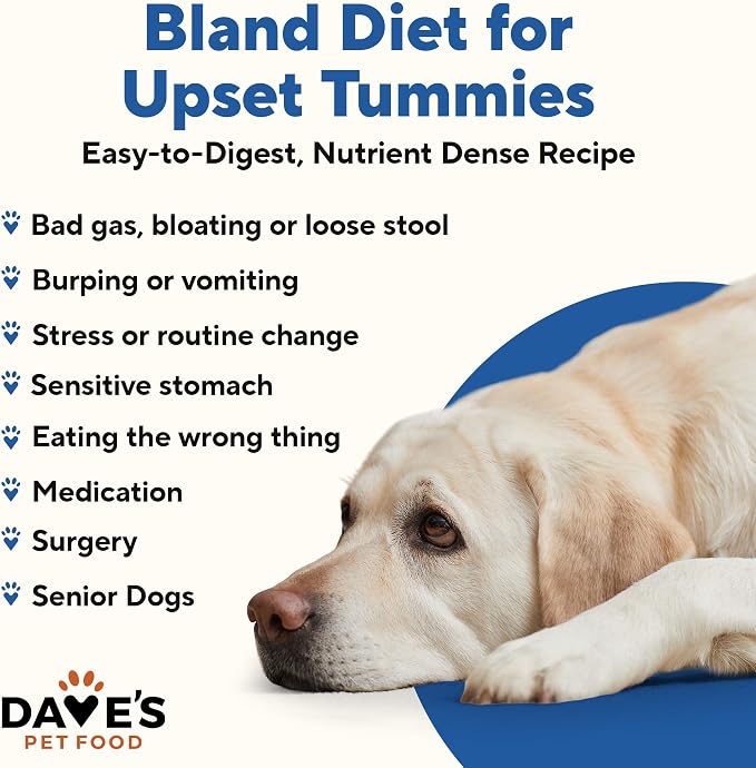 Dave's Pet Food Bland Diet Dog Food (Turkey & Rice), Sensitive Stomach, Easy to Digest Pate, Gluten-Free, Digestive Care, Low Fat (5%) Limited Ingredients, Complete & Balanced, 13.2 oz (Case of 12)