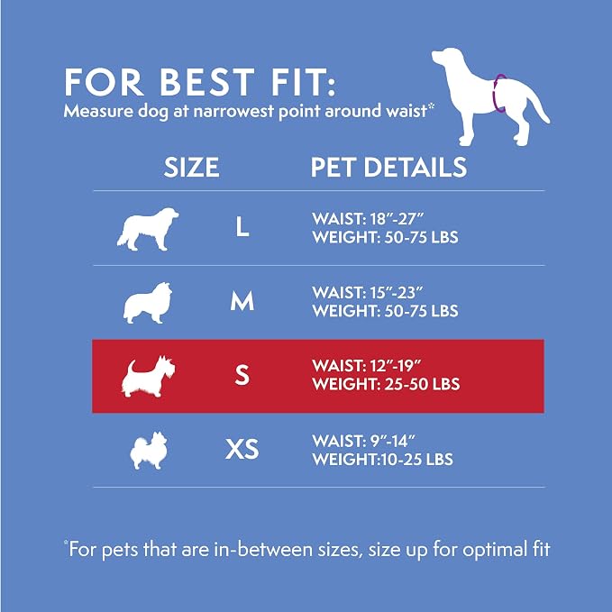 Simple Solution Disposable Dog Wraps, Male Dog Diapers, Puppy Potty Training, Incontinence and Travel Protection, Wraps for Small Dogs, 12-19 Inch Waist, 30 Count