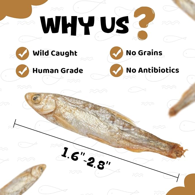 Minnows - Freeze Dried Minnows for Dogs & Cats, 100% Natural Single Ingredient Dog & Cat Treats, 2 oz