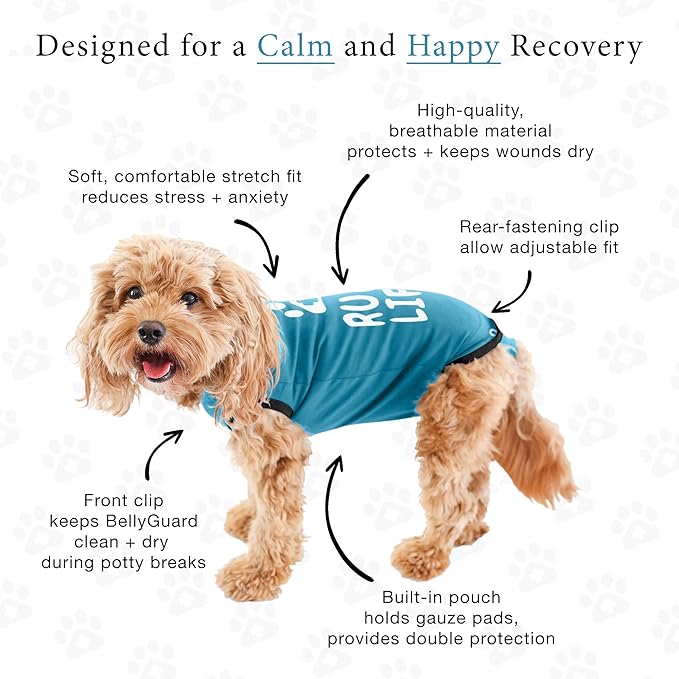 BellyGuard Dog Surgery Recovery Suit, Post-Op Dog Recovery Suit for Female Spay & Male Neuter, Comfy Onesie for Pets, Surgical Body Cover for Canine Healing Support