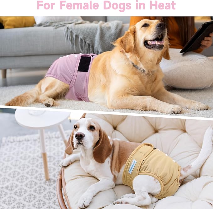 5Pcs Washable Reusable Female Dog Diapers Puppy Doggy Doggie Diapers for Female Dogs Small Medium Large Period Panties in Heat, Small
