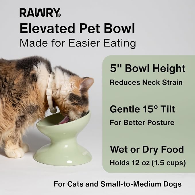 RAWRY Raised Ceramic Cat Bowl, Elevated Tilted Cat Bowl, Wide Shallow Cat Dish, Whisker Fatigue Cat Bowl, Dishwasher & Microwave Safe for Wet or Dry Food, Cats & Small Dogs, 12 oz (Seafoam)