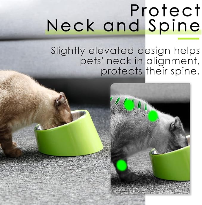 SuperDesign Mess Free 15° Slanted Bowl for Dogs and Cats, Tilted Angle Bulldog Bowl Dog Feeder, Non-Skid & Non-Spill, Easier to Reach Food M/1 Cup Green