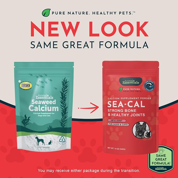 Animal Essentials Sea-Cal - Pure Seaweed Calcium Powder for Dogs with Magnesium, Joint Supplement for Dogs & Cats for Healthy Bones & Teeth, Joint Health, Vegan Icelandic Seaweed Calcium - 12 oz