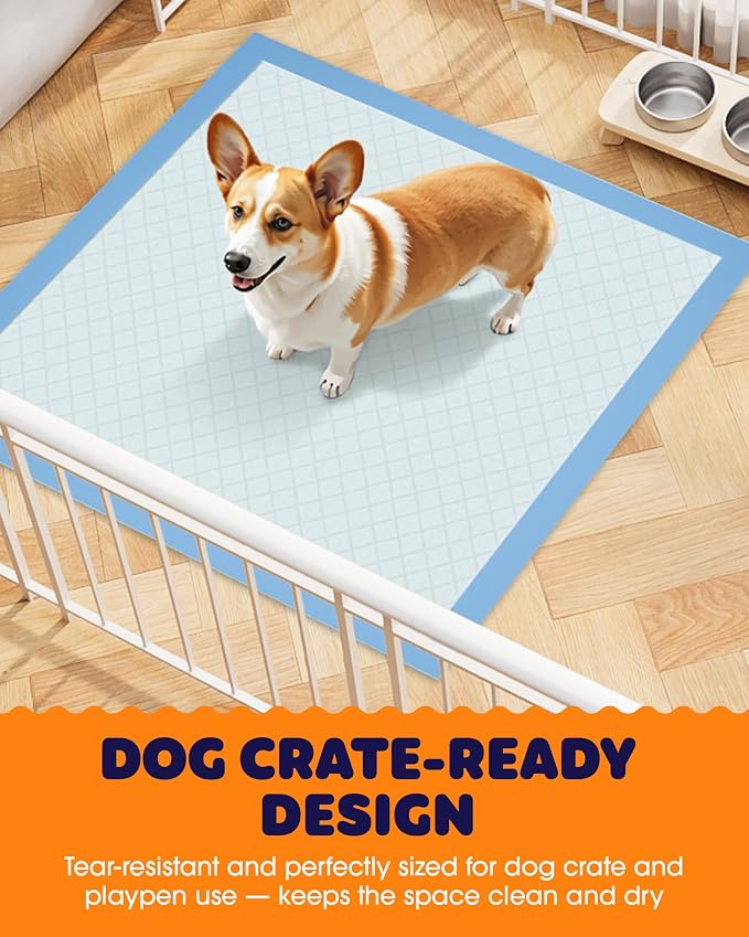 Powools Puppy Pads - Super Absorbent & Spill-Proof Pee Pads for Dogs with 6-Layer Material, Quick-Dry Potty Pads for Floors, Furniture, Vehicle, 22" × 22", 150 Packs