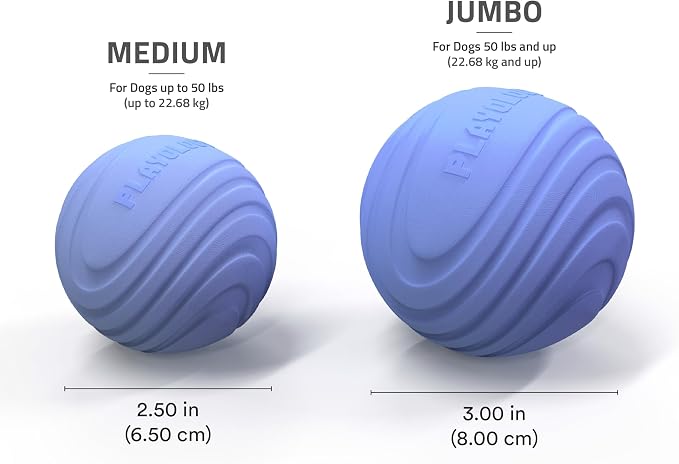 Playology Dog Toys | Dual Layer Ball Durable Chew Toy for Tough Chewers | Blueberry Scented Medium Dog Toy | Chew Toys for Dogs