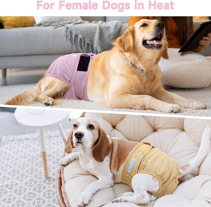 5Pcs Washable Reusable Female Dog Diapers Puppy Doggy Doggie Diapers for Female Dogs Small Medium Large Period Panties in Heat, Medium