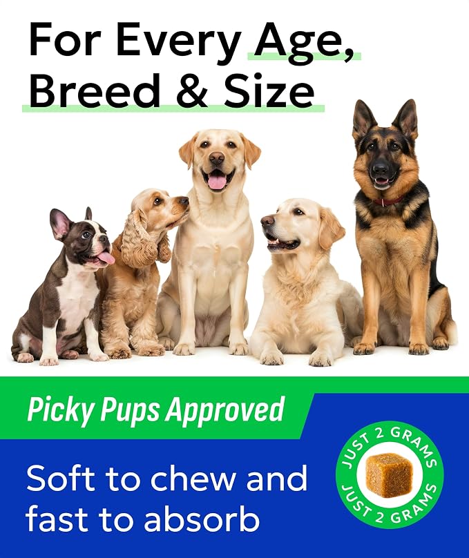 BARK&SPARK Glucosamine Chondroitin Dog Hip & Joint Supplement - Joint Pain Relief - Hip & Joint Chews - Joint Support Large Small Breed - Senior Doggie Vitamin Pill Joint Health
