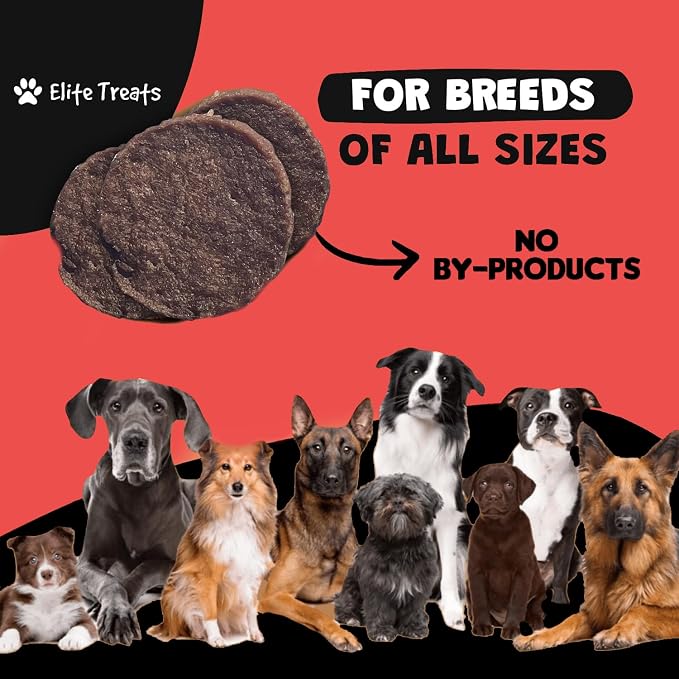 Turkey Dog Treats All Natural, Dehydrated Single Ingredient Dog Treat, Made in USA Doggie Turkey Chips for Small to Large Dogs, 12oz