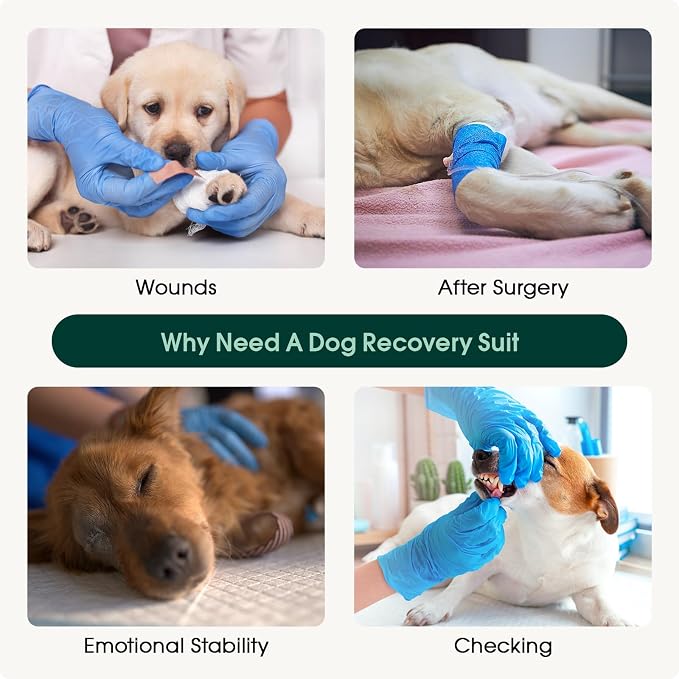 Kuoser Dog Recovery Suit for Dogs After Surgery, Soft Dog Surgical Onesie for Female Male Dogs Spay Neuter, Anti-Licking Pet Bodysuit for Abdominal Wounds, Skin Disease, E-Collar Alternative, Blue XS