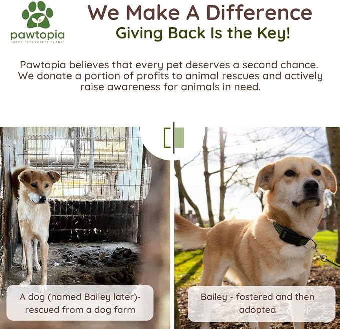 Pawtria Certified Home Compostable Dog Poop Bags (240) + Paper Dispenser, Poop Bags for Dogs, Cat Litter, Vegetable Starches, Dog Waste Bags, Leakproof, Easy to Open, Give Back