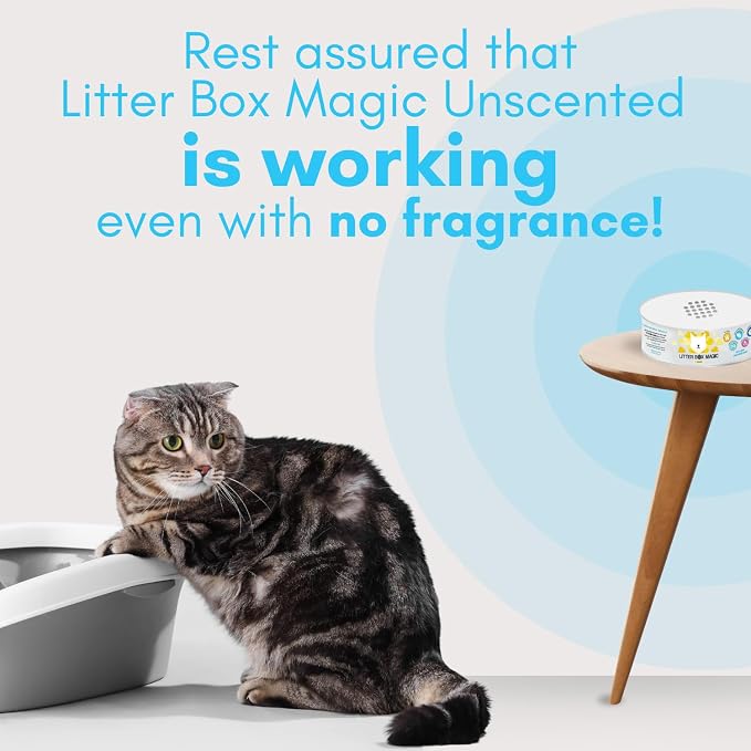 Litter Box Magic Cat Litter Deodorizer Jar (1 Fresh Scent and 1 Fragrance Free, 16 Oz, Pack of 2) - Cat Litter Odor Absorber Gel - Litter Box Pet Air Freshener - Litter Odor Eliminator to Freshen Air
